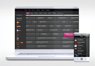 Programm Manager